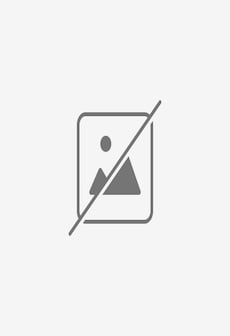 The Rebel Steam Key GLOBAL
