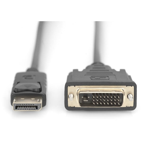 (€ 3,65 / 1 m) Digitus Adapterkabel DisplayPort > DVI-D - Digitus - vue 2