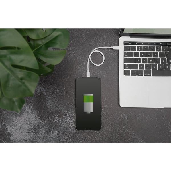 Digitus USB 2.0 Daten-/câble de charge USB-C > Lightning, MFI zertifiziert - Digitus - vue 6