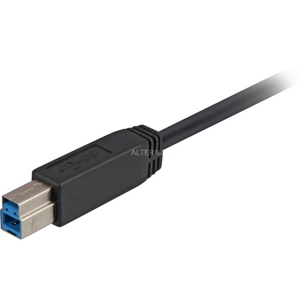 Sharkoon USB 3.2 Gen 1 câble, USB-A Stecker > USB-B Stecker - Sharkoon - vue 3