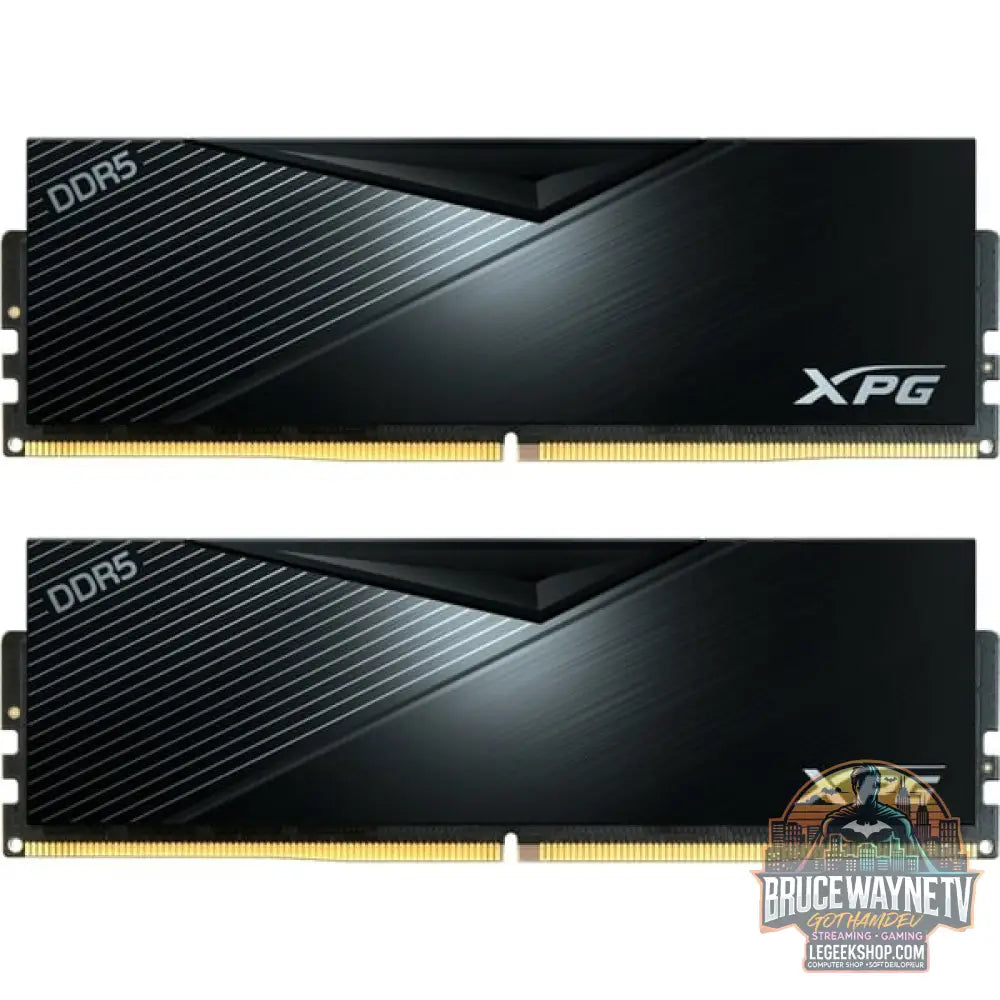 ADATA DIMM 32 GB DDR5-5600 (1x 32 GB), Arbeitsspeicher - ADATA