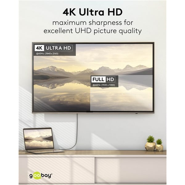 goobay USB Adapterkabel, USB-C Stecker > DisplayPort Stecker, 4K 60Hz - goobay - vue 10