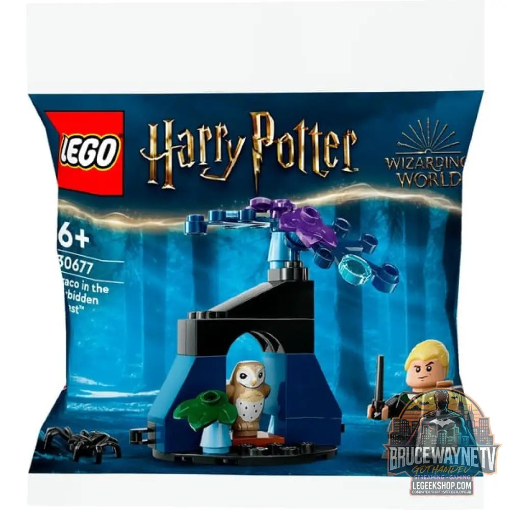 LEGO 30677 Harry Potter Draco im Verbotenen Wald, jeu de construction Polybag - LEGO