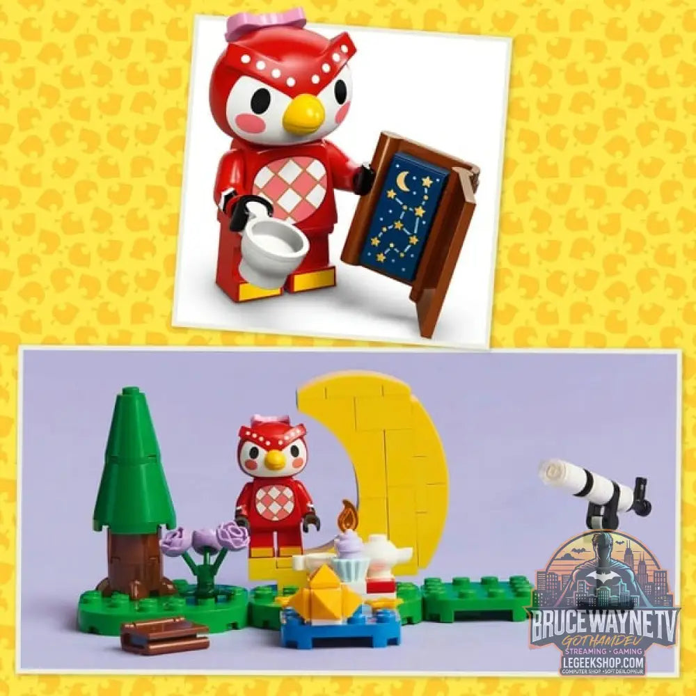 LEGO 77053 Animal Crossing Sternbeobachtung avec Eufemia, jeu de construction - LEGO - vue 6