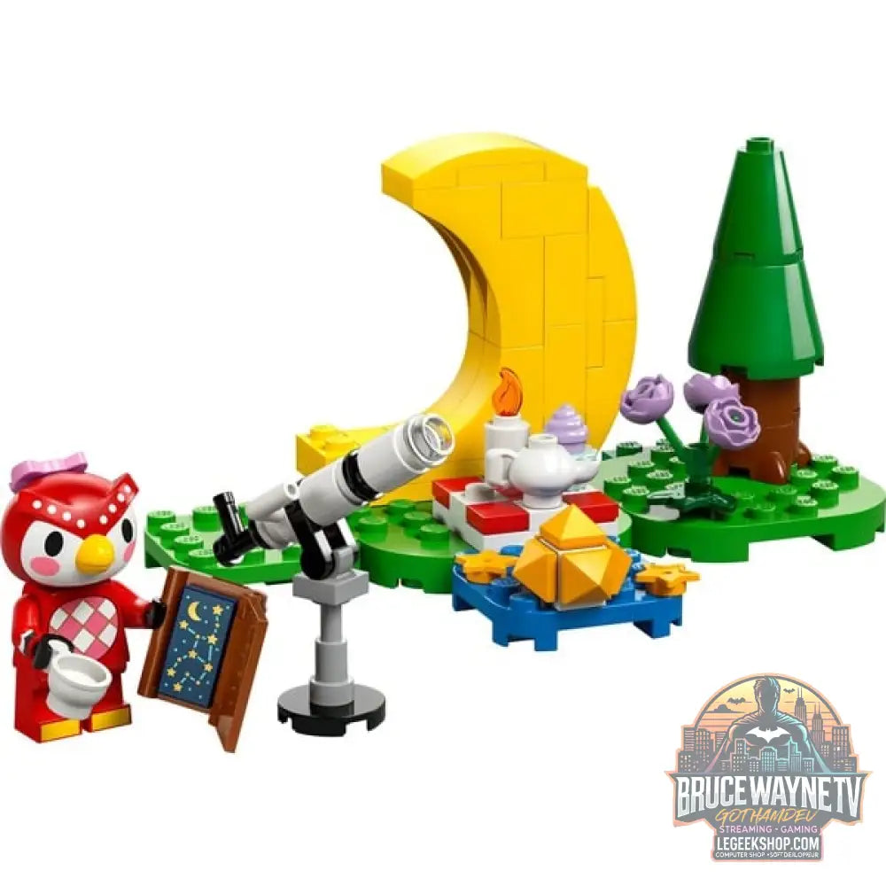 LEGO 77053 Animal Crossing Sternbeobachtung avec Eufemia, jeu de construction - LEGO - vue 3
