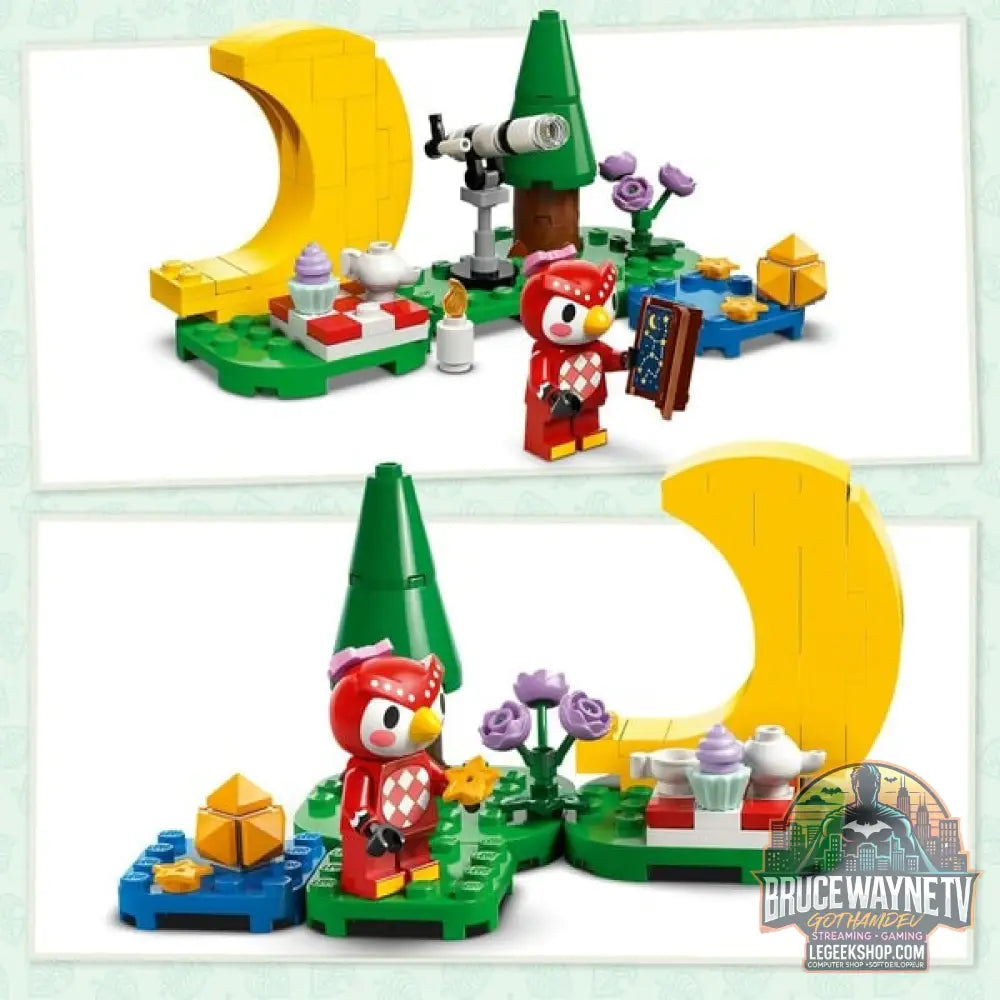 LEGO 77053 Animal Crossing Sternbeobachtung avec Eufemia, jeu de construction - LEGO - vue 4