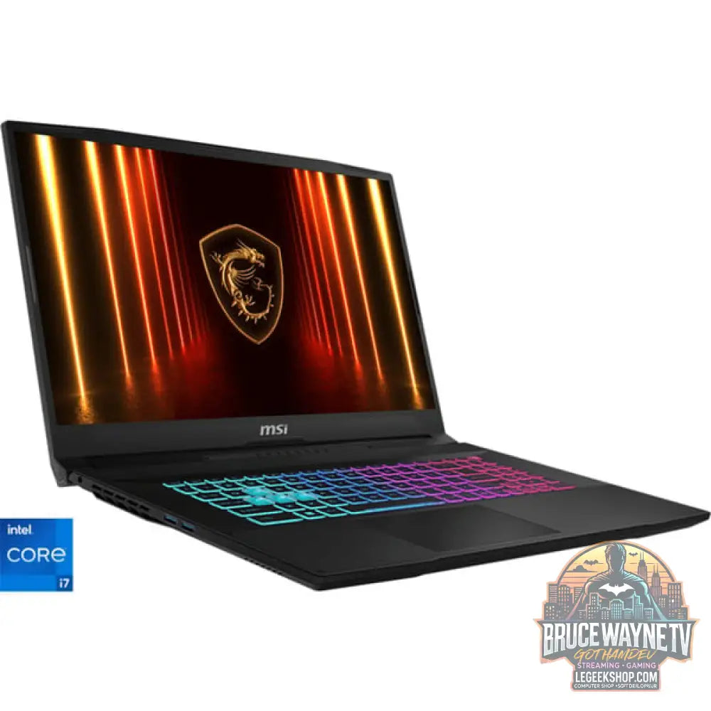 MSI Katana 17 HX B14WFK-227, Gaming-Notebook