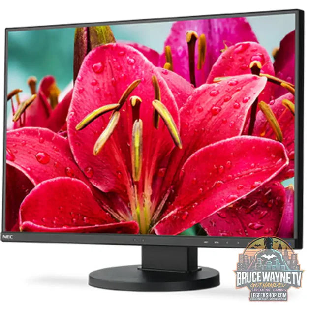 Guide d'achat : NEC MultiSync EA245WMI-BK (ohne Standfuß) 24" 1920 × 1200 px IPS 60 Hz