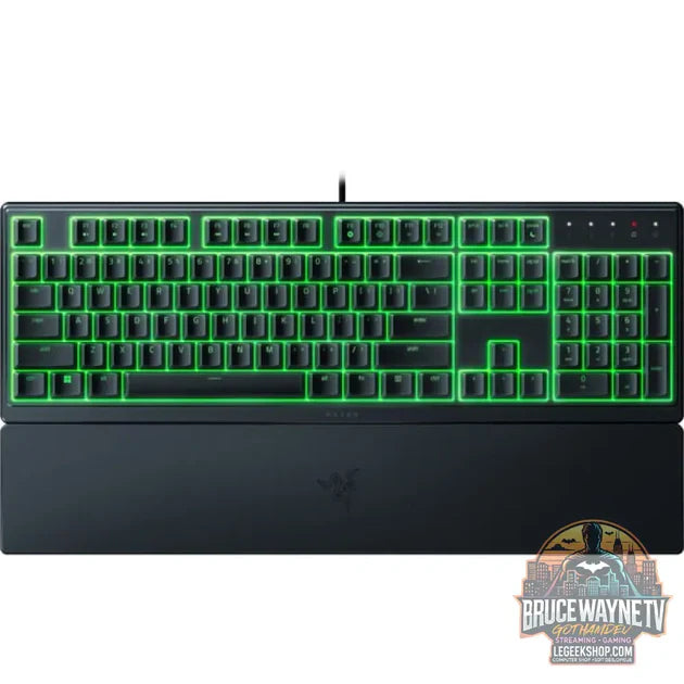 Guide d'achat : Ornata V3 X