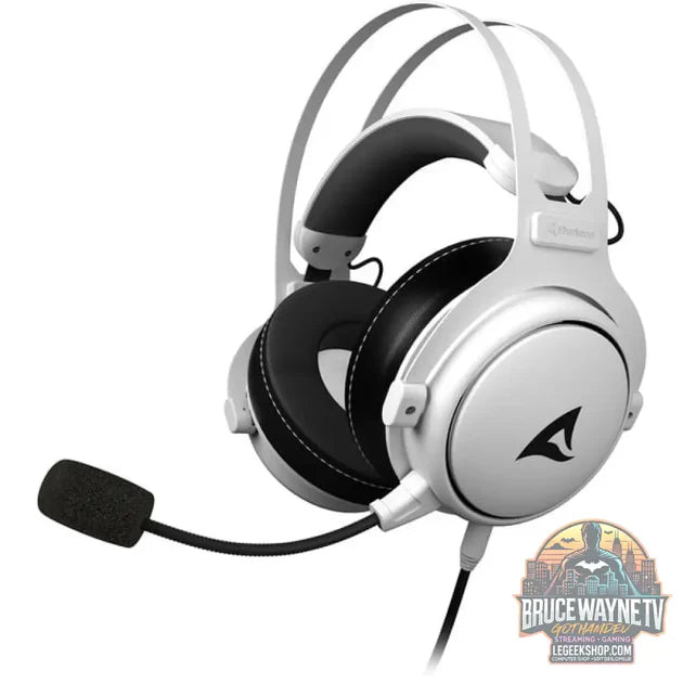 Guide d'achat : Skiller SGH50