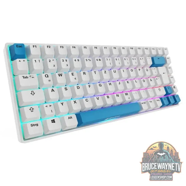 Guide d'achat : SKILLER SGK50 S3 PBT