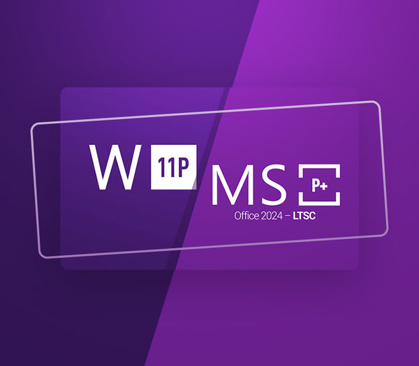 Windows 11 Professional & MS Office 2024 Professional Plus LTSC Bundle