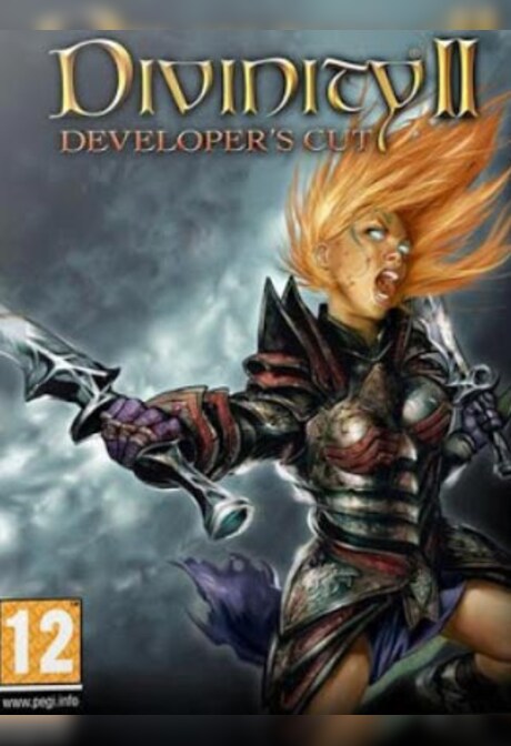 Divinity II: Developer's Cut Steam Gift GLOBAL