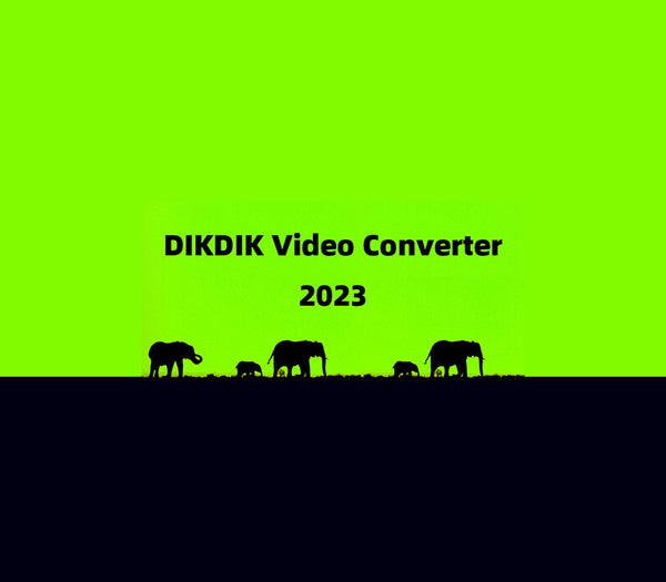 DIKDIK Video Converter