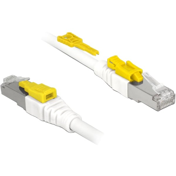 DeLOCK RJ45 Secure Cat. 6A, câble - DeLOCK
