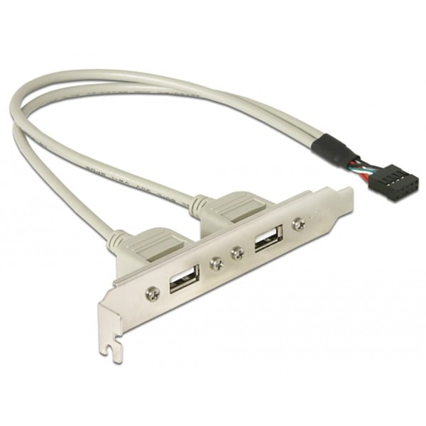 DeLOCK USB 2.0 Slotblende, 10 Pin Header > 2x USB-A Buchse - DeLOCK