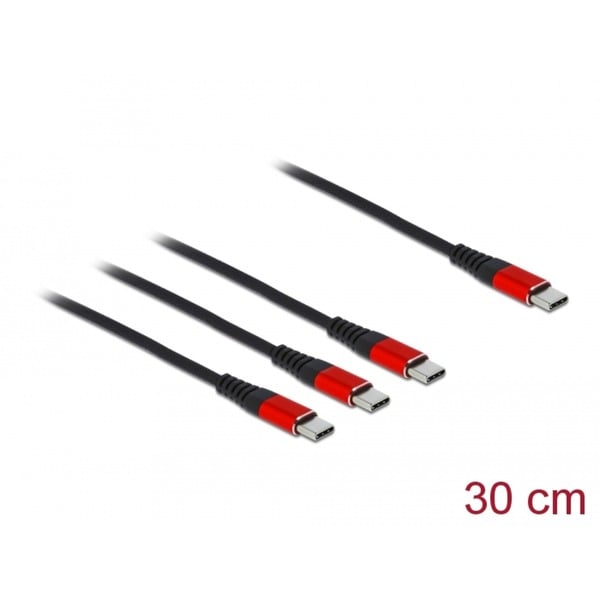DeLOCK USB câble de charge, USB-C Stecker > 3x USB-C Stecker - DeLOCK - vue 2