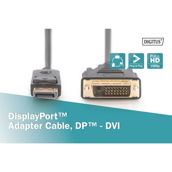 (€ 2,69 / 1 m) Digitus Adapterkabel DisplayPort > DVI-D, Interlock - Digitus - vue 3