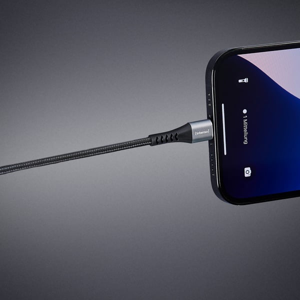 Intenso USB câble C315C - Intenso - vue 10