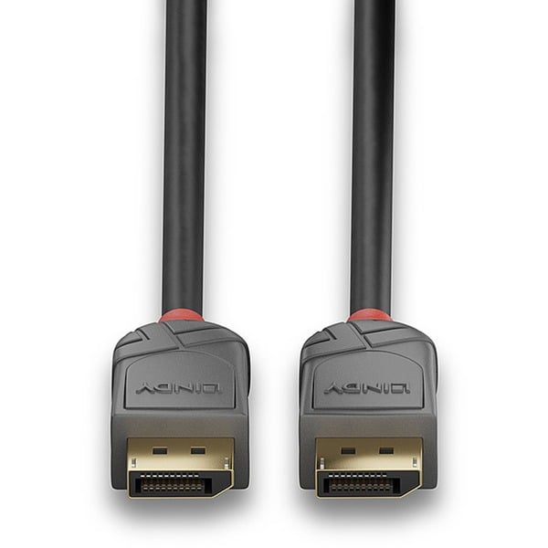 Lindy DisplayPort 1.2 câble Anthra Line - Lindy - vue 4