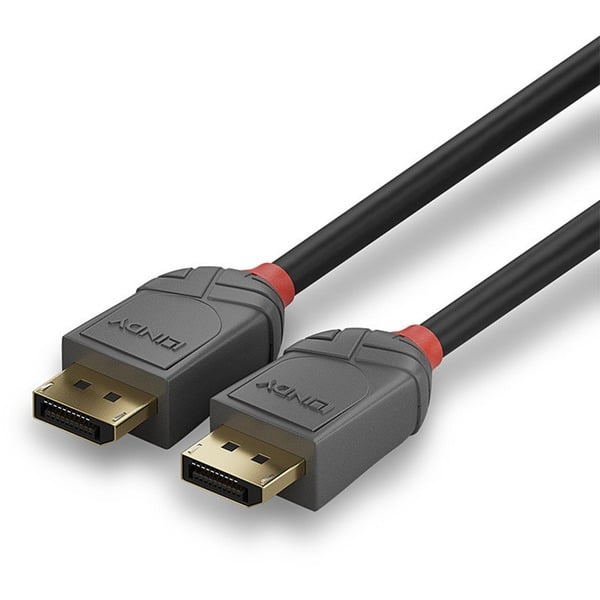 Lindy DisplayPort 1.2 câble Anthra Line - Lindy - vue 5