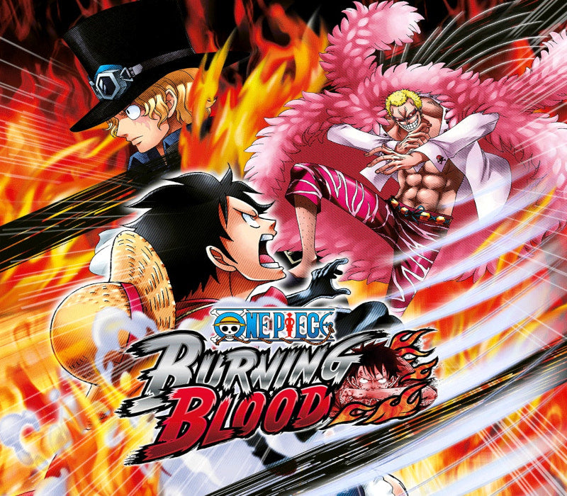 One Piece Burning Blood PS4/PS5 Access