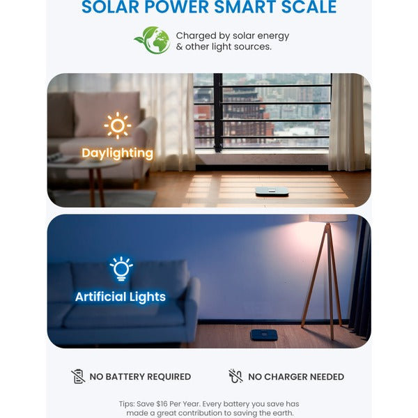 Renpho Elis Solar 2, Waage - Renpho - vue 8
