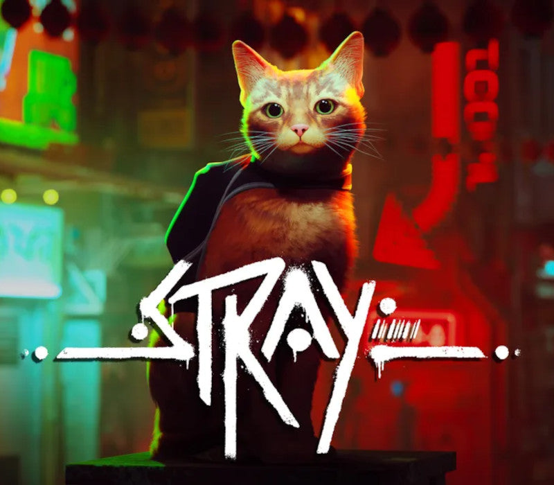 Stray PS4/PS5 Access