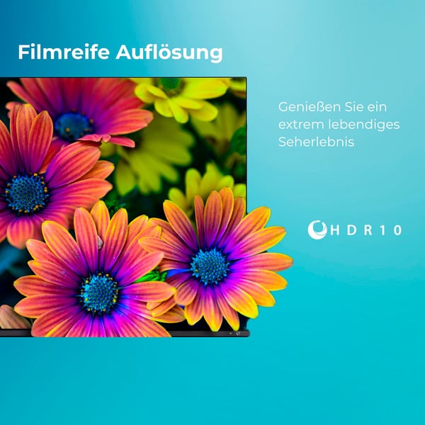 Toshiba 24WV3F63DA, LED-Fernseher - Toshiba - vue 6