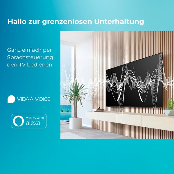 Toshiba 24WV3F63DA, LED-Fernseher - Toshiba - vue 9