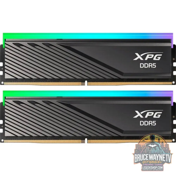ADATA DIMM 16 GB DDR5-5600 (2x 8 GB) Dual-Kit, Arbeitsspeicher - ADATA