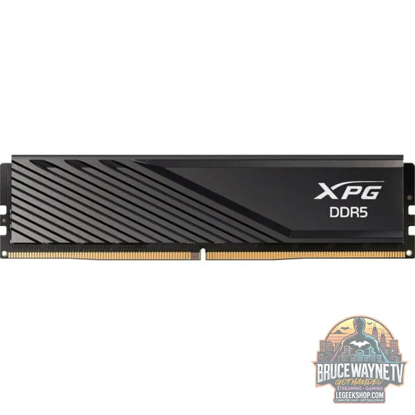 ADATA DIMM 16 GB DDR5-5600, Arbeitsspeicher - ADATA