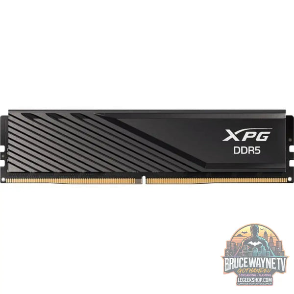 ADATA DIMM 16 GB DDR5-6000 (1x 16 GB), Arbeitsspeicher - ADATA