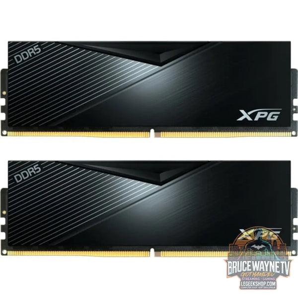 ADATA DIMM 32 GB DDR5-5600 (1x 32 GB), Arbeitsspeicher - ADATA