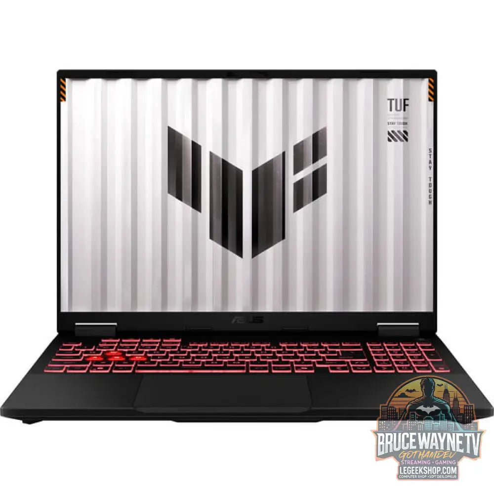 ASUS TUF Gaming A16 (FA608UM-RV136W), Gaming-Notebook - vue 2