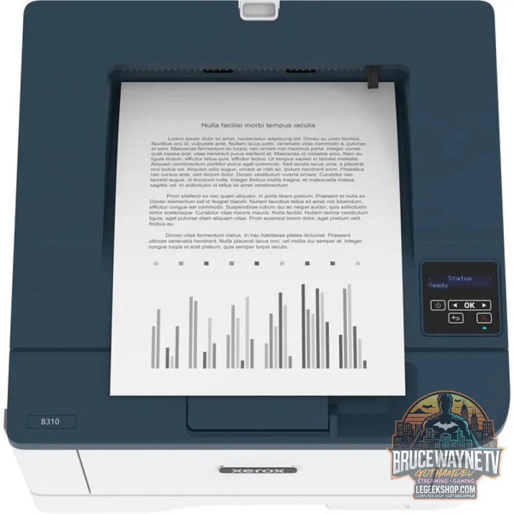 B310 - Xerox - vue 5