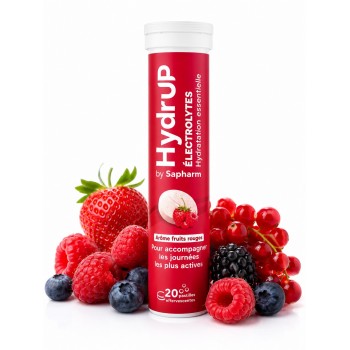 Electrolytes Hydrup Fruits rouges 78 Gr x 24