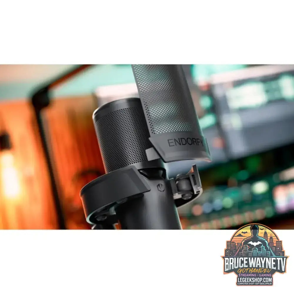 ENDORFY Solum 2, microphone noir, USB-C - ENDORFY - vue 18