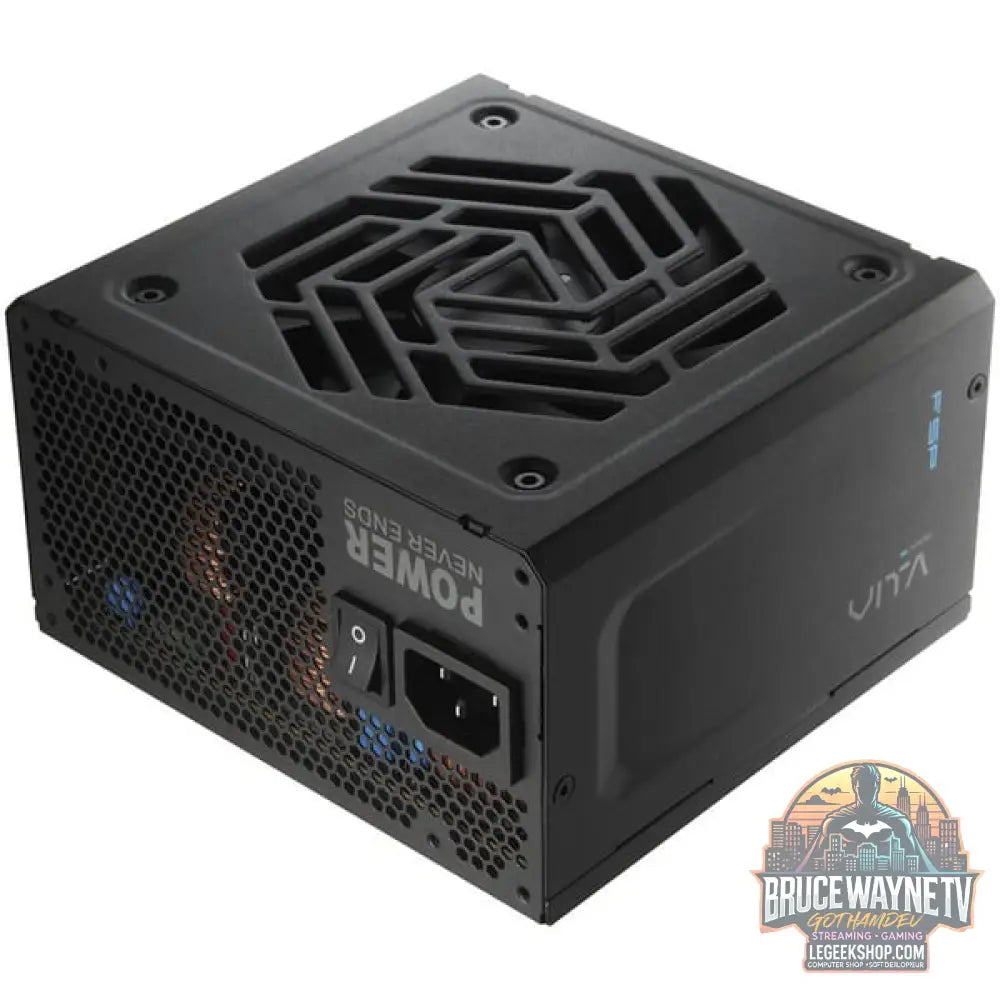 FSP VITA GM 1000W, alimentation PC - FSP - vue 11