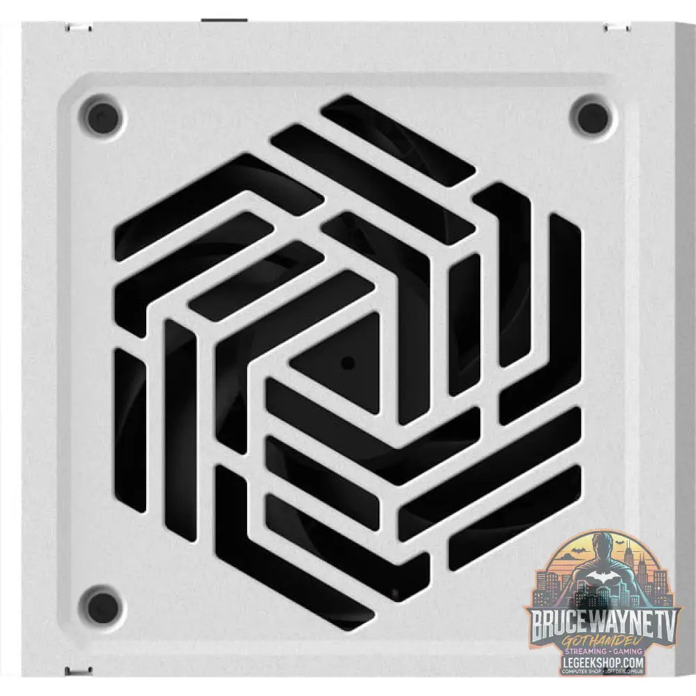 FSP VITA GM 850W WHITE, alimentation PC - FSP - vue 7