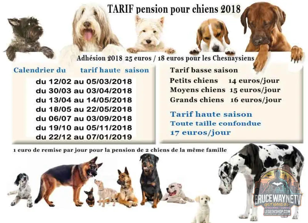 garde chien journée