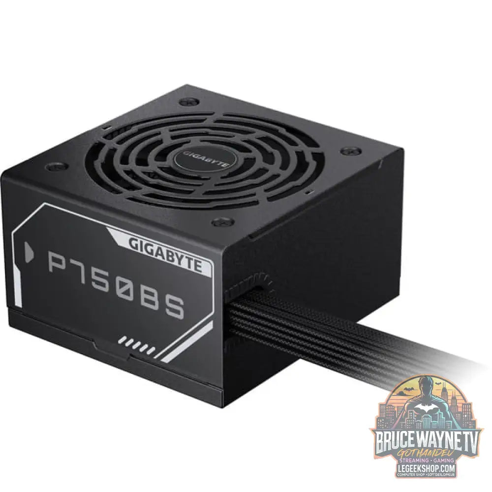 GIGABYTE GP-P750BS, alimentation PC - GIGABYTE - vue 5