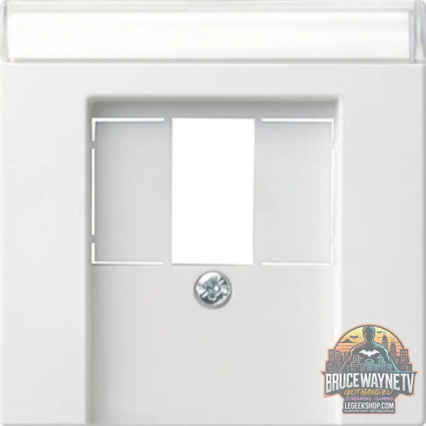 Gira Zentralplatte Abdeckung pour TAE et USB avec Beschriftungsfeld blanc, Retail