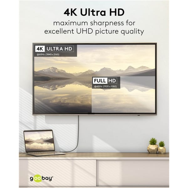 goobay USB Adapterkabel, USB-C Stecker > DisplayPort Stecker, 4K 60Hz - goobay - vue 9