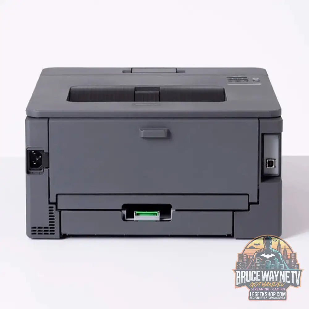 HL-L2400DW - Brother - vue 4