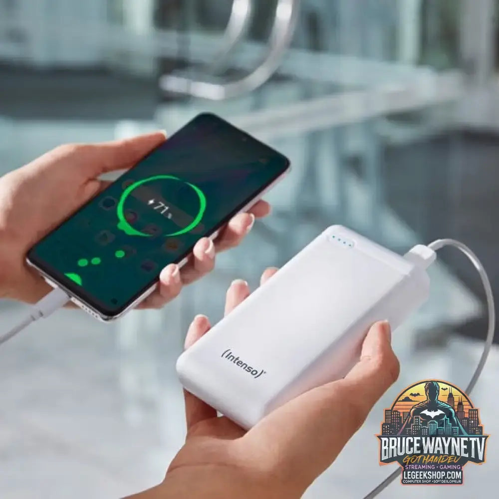 Intenso Powerbank XS20000 weiß, 20.000 mAh - Stromquelle: USB-C, Micro-USB - vue 8