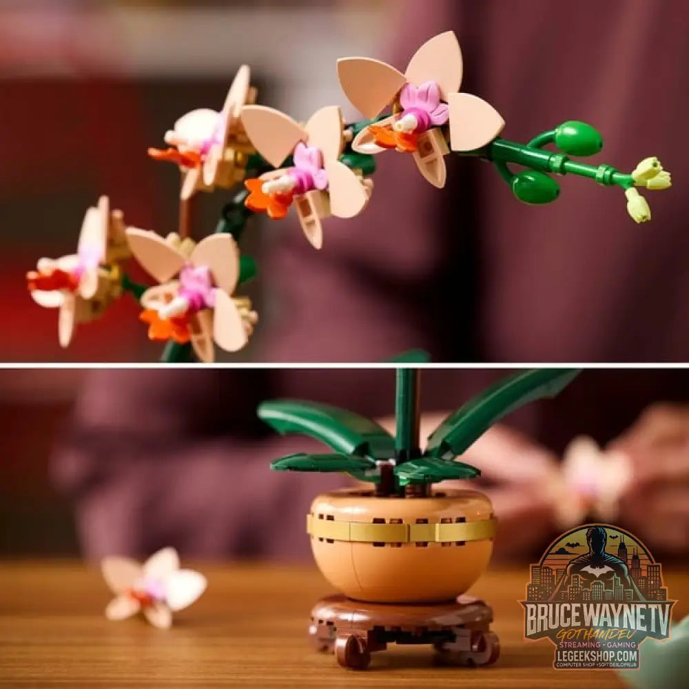 LEGO 10343 Botanicals Mini-Orchidee, jeu de construction - LEGO - vue 5