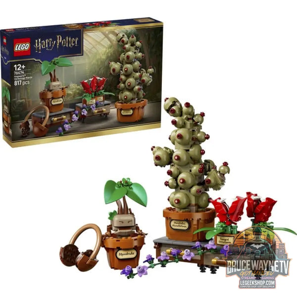 LEGO 76474 Harry Potter Schloss Hogwarts: Kräuterkunde-Pflanzen, jeu de construction - LEGO