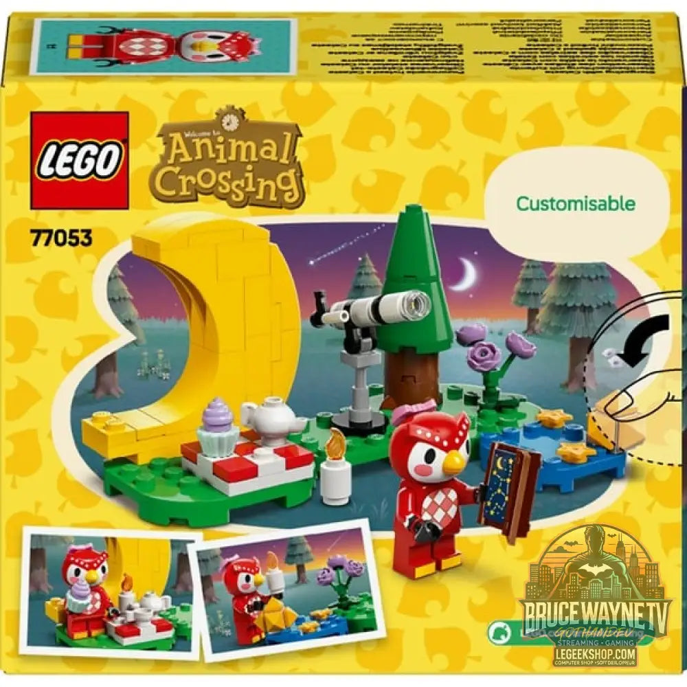 LEGO 77053 Animal Crossing Sternbeobachtung avec Eufemia, jeu de construction - LEGO - vue 7