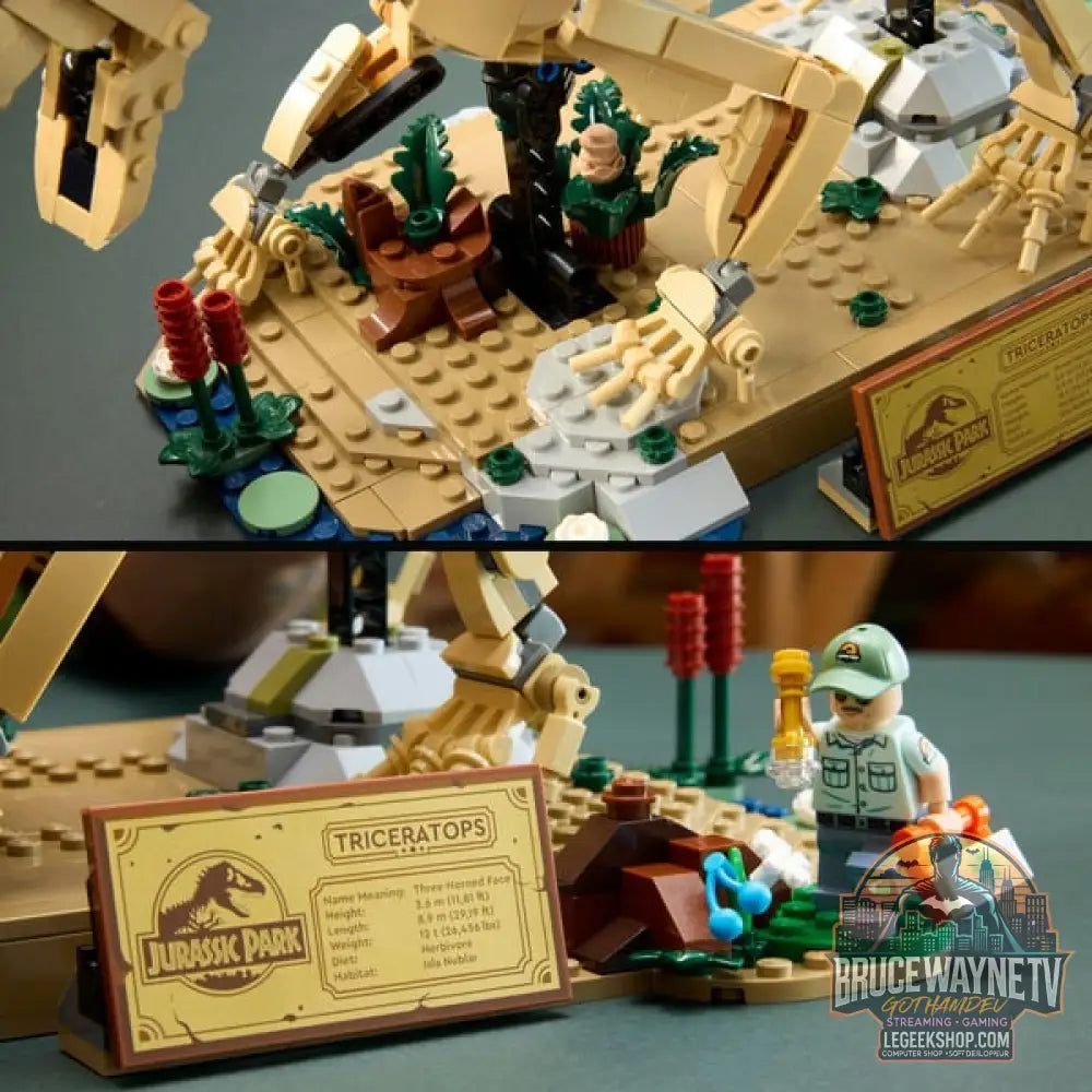 LEGO 77985 Jurassic World Dinosaurier-Fossilien: Triceratops, jeu de construction - LEGO - vue 5